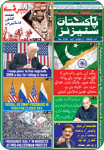 issue 01